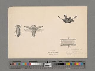 Go to image 129.