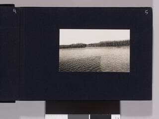 Go to image 7.