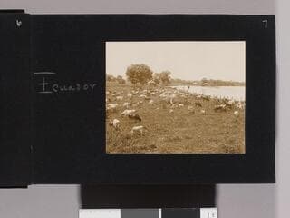 Go to image 10.