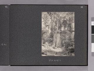 Go to image 47.