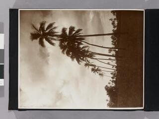 Go to image 86.
