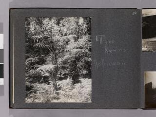 Go to image 32.
