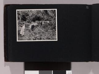 Go to image 74.