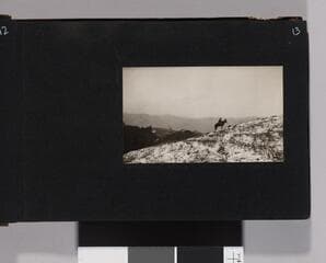 Go to image 15.