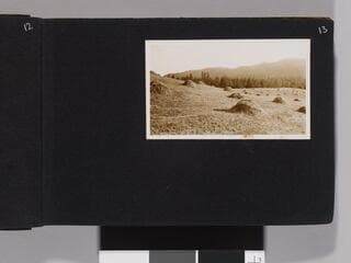 Go to image 15.