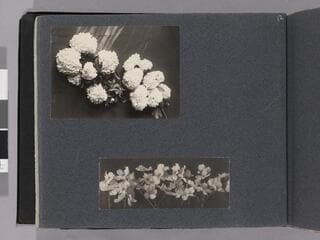 Go to image 14.
