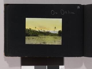 Go to image 40.
