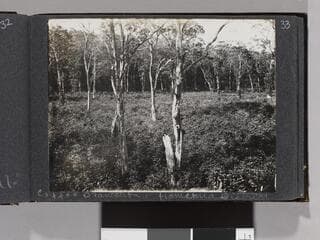 Go to image 35.