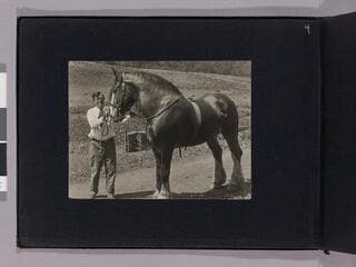 Go to image 6.