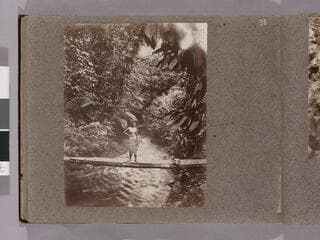 Go to image 40.