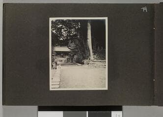 Go to image 76.