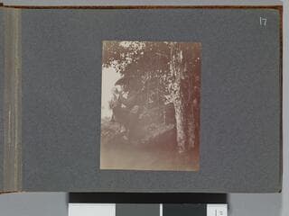 Go to image 19.