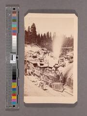 Go to image 1.