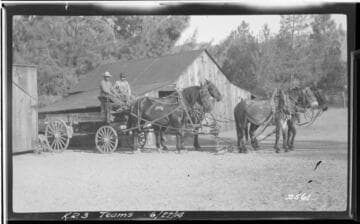 Kern River No. 3