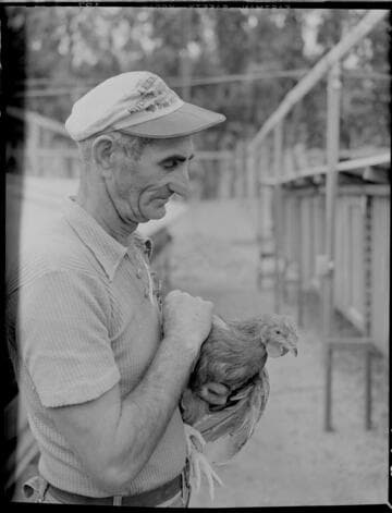 Poultry
