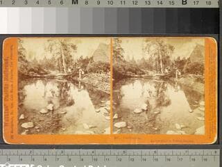 Go to image 1.