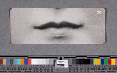 Go to image 69.