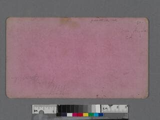 Go to image 2.