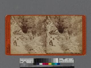 Go to image 1.