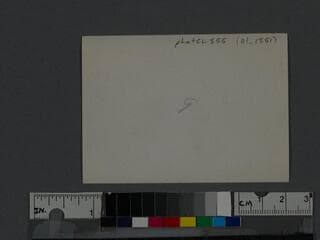 Go to image 2.