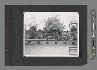 Go to image 55.