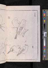 Go to image 256.