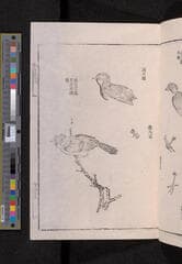 Go to image 261.