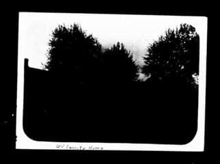 Go to image 446.