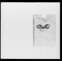 Go to image 109.