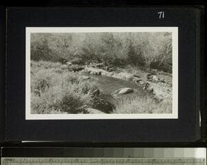 Go to image 73.