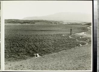 Go to image 116.