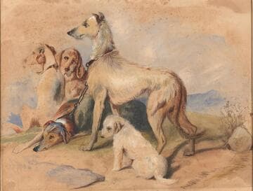 Dogs