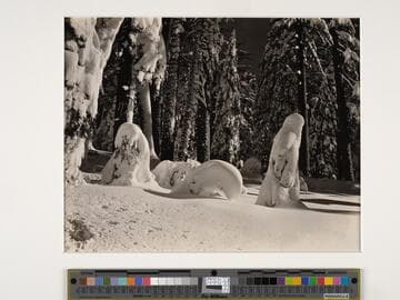 Yosemite
