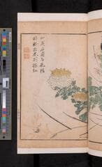 Go to image 423.