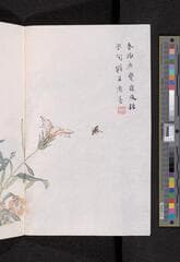 Go to image 170.