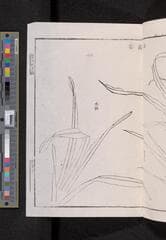 Go to image 65.