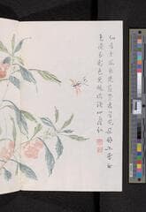 Go to image 132.