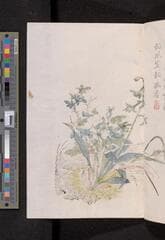 Go to image 143.