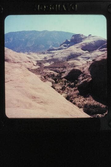 Black Water Canyon