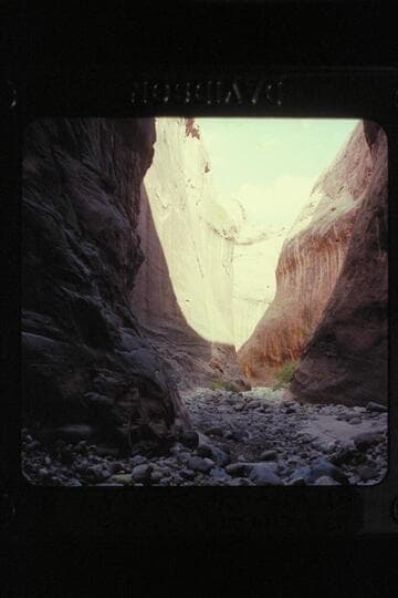 Black Water Creek
