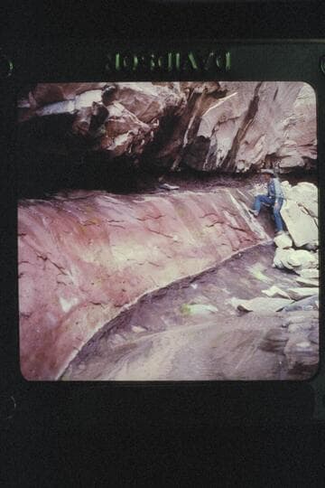 Black Water Cave