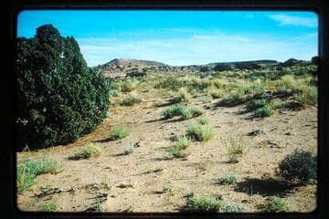 Dead Man Hill?