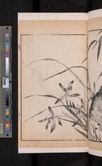 Go to image 117.