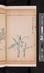 Go to image 156.
