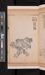 Go to image 151.