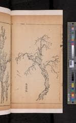 Go to image 112.