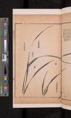 Go to image 67.