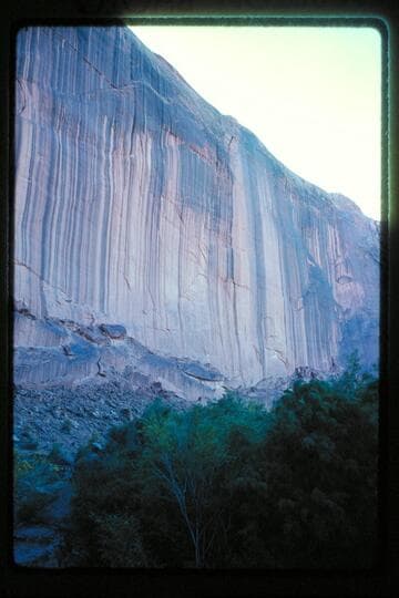 Wall at Halls Creek