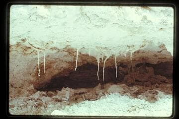 Hopi Salt