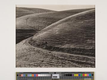 Hills Near Hayward
